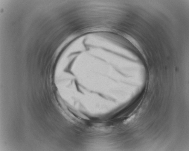 X0000062791197200601191916