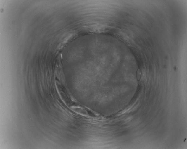 X0000062791202200601191915