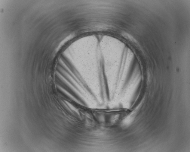 X0000062791210200601191915