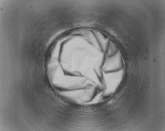X0000062791214200601191915
