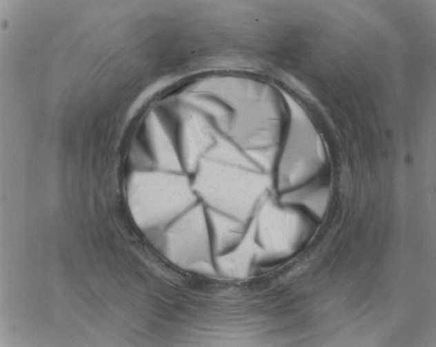 X0000062791222200601191916