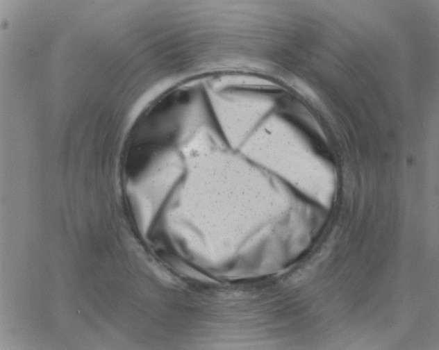 X0000062791230200601191916