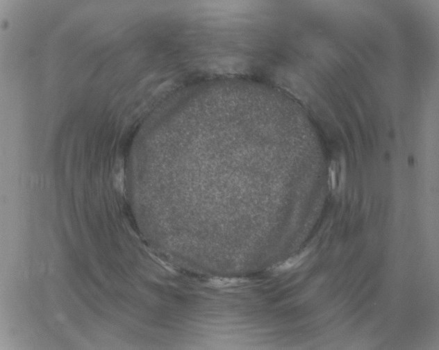 X0000062791251200601191915