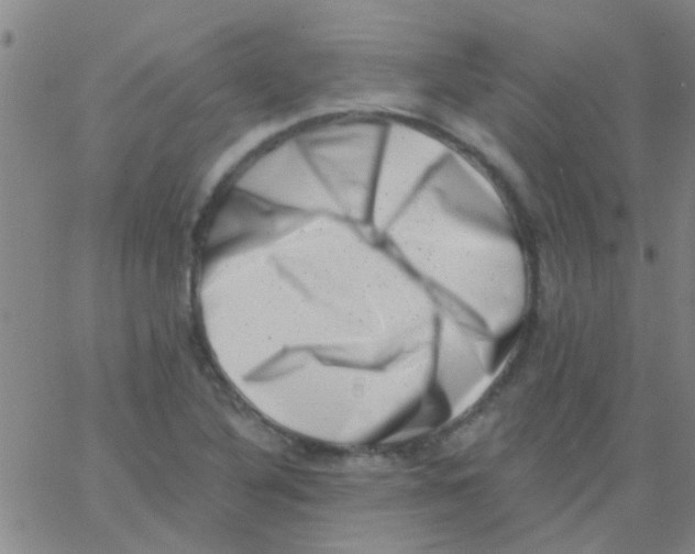 X0000062791316200601191914