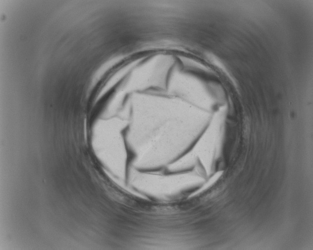 X0000062791320200601191914