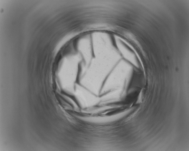 X0000062791328200601191914