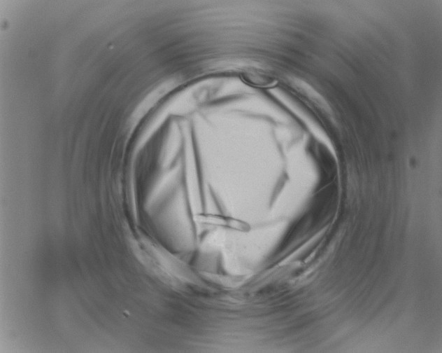X0000062791330200601191914