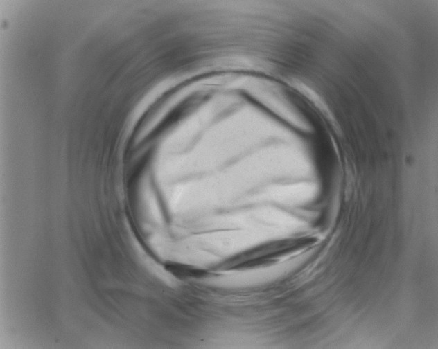 X0000062791342200601191914