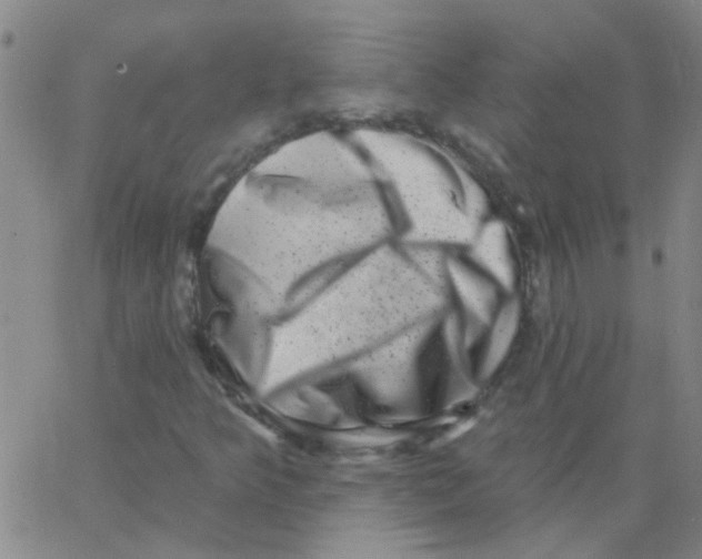 X0000062791349200601191914