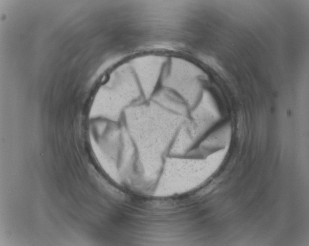 X0000062791404200601191912