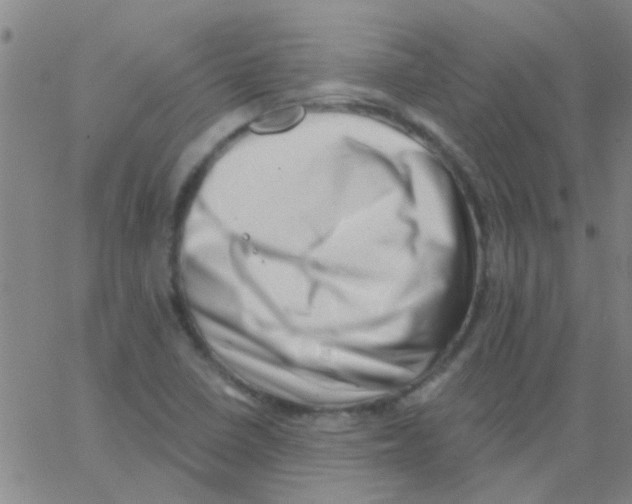 X0000062791410200601191912