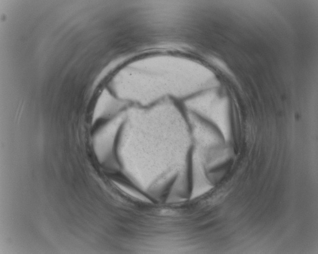 X0000062791412200601191912