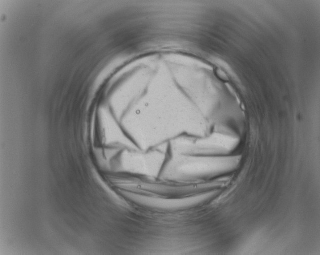 X0000062791424200601191913