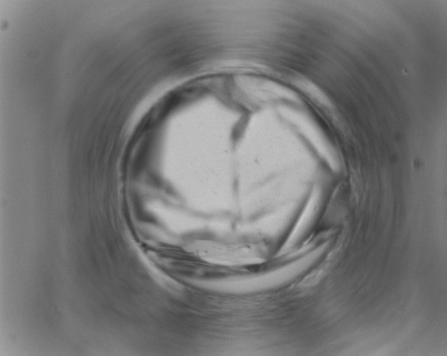 X0000062791430200601191913