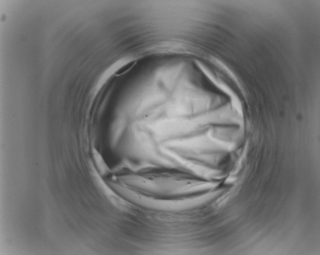 X0000062791434200601191913