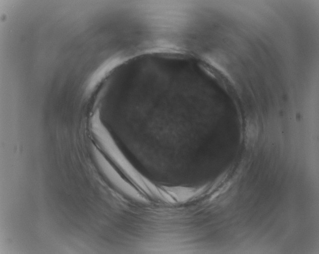 X0000062791455200601191912