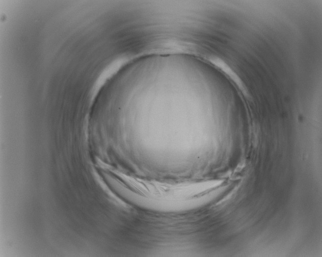 X0000062791477200601191912