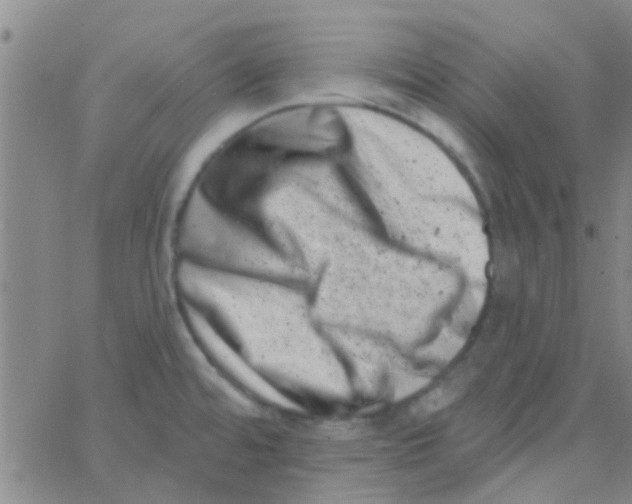 X0000062791480200601191911