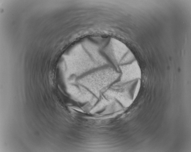 X0000062791490200601191911