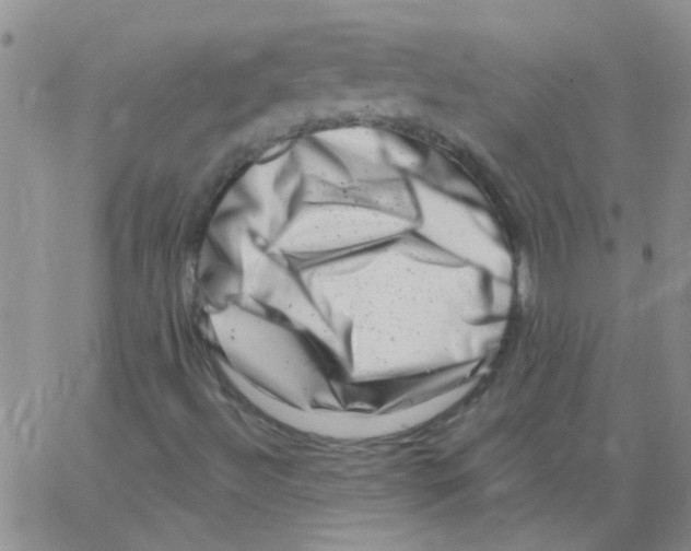 X0000062791492200601191911
