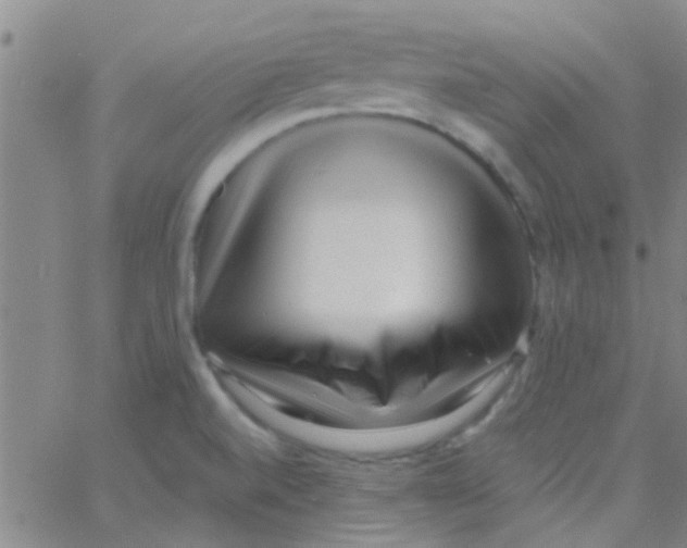 X0000062791520200601191911