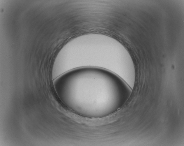 X0000062800039200512221118