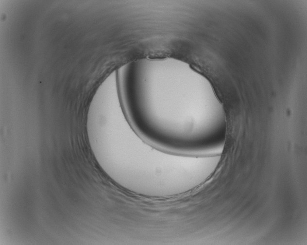X0000062800041200512221118