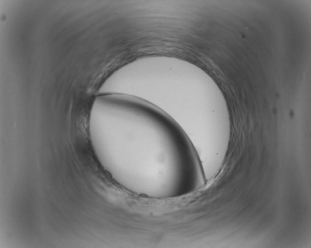 X0000062800045200512221118