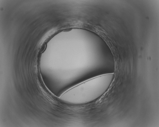 X0000062800054200512221117