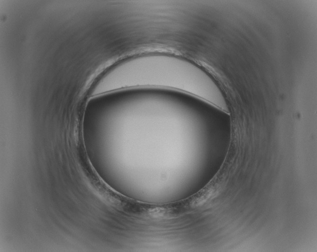 X0000062800064200512221117