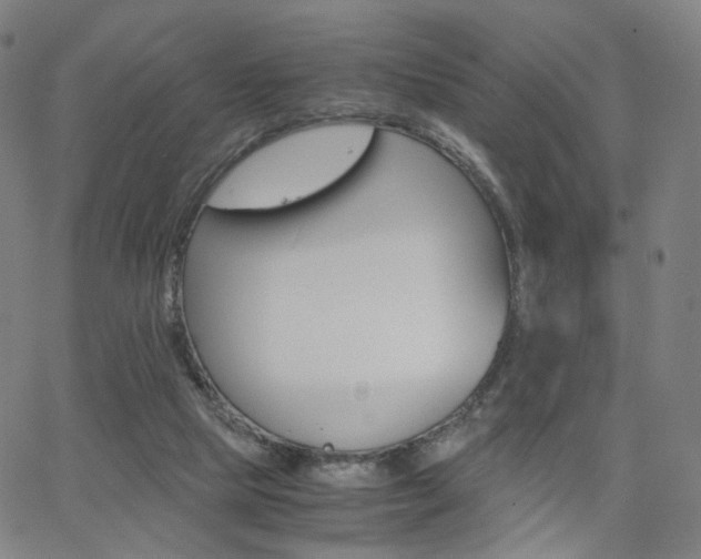 X0000062800065200512221117