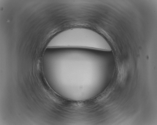 X0000062800071200512221117