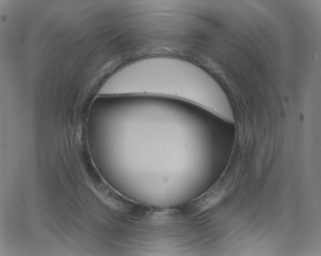 X0000062800072200512221117