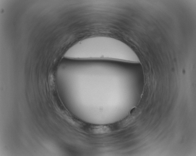 X0000062800087200512221117