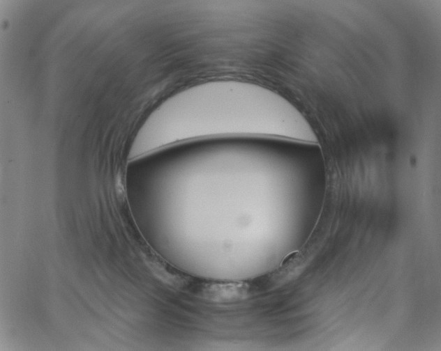 X0000062800089200512221117