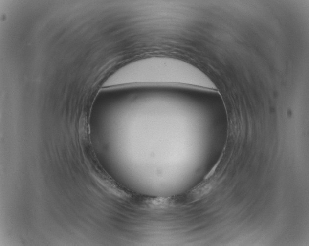 X0000062800092200512221117