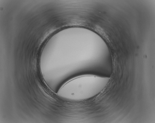 X0000062800108200512221116