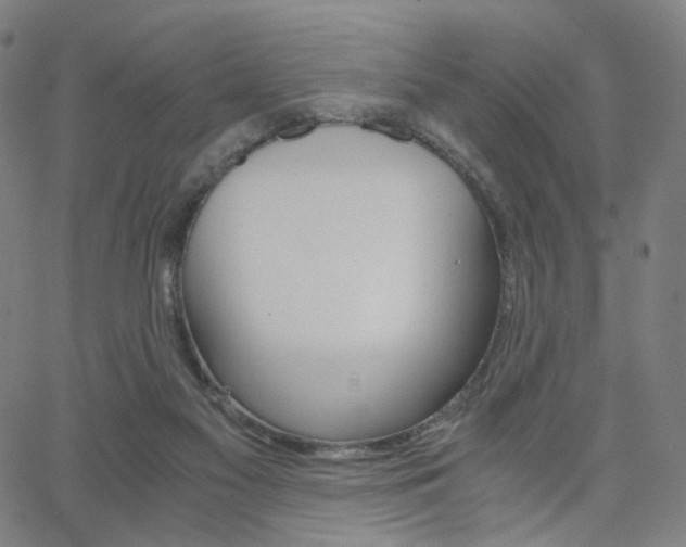 X0000062800117200512221116