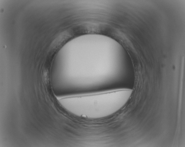 X0000062800123200512221116