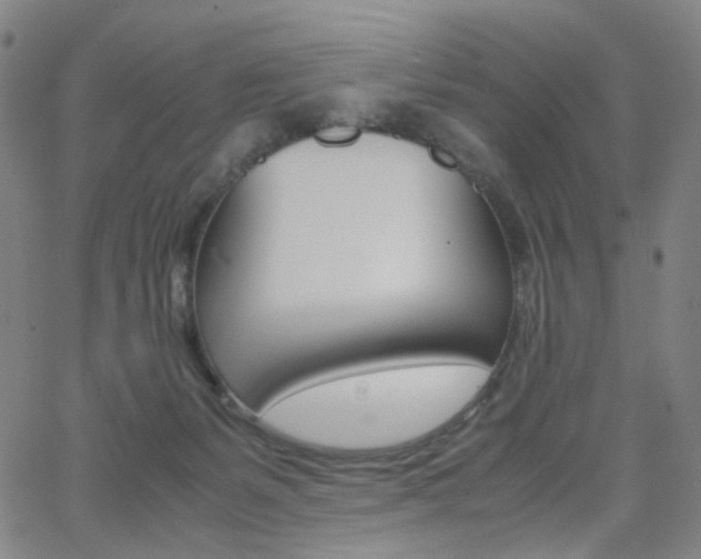 X0000062800127200512221116