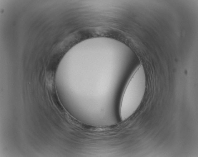 X0000062800129200512221116