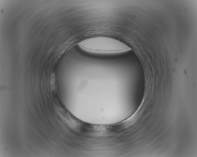 X0000062800144200512221116