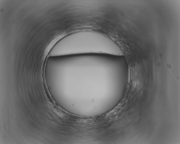 X0000062800147200512221115