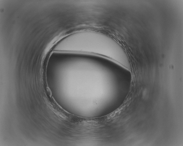 X0000062800150200512221115