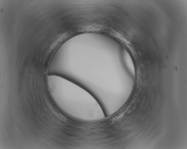X0000062800153200512221115