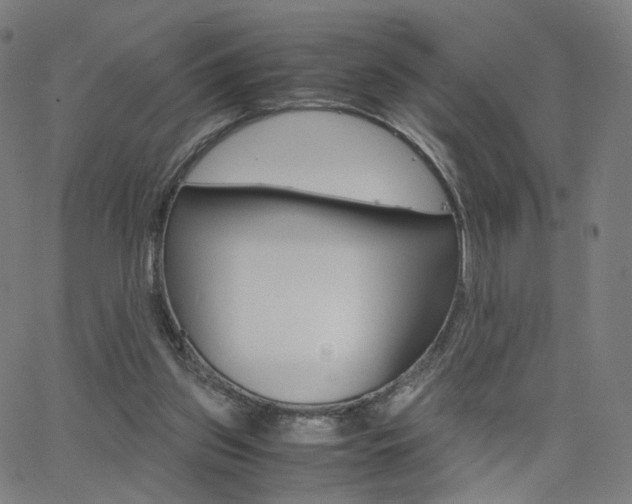 X0000062800157200512221115