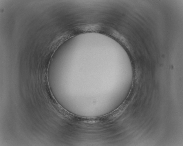 X0000062800161200512221115