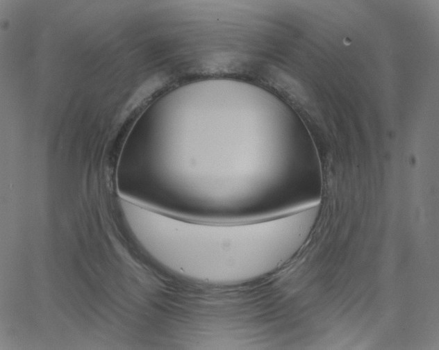 X0000062800164200512221115
