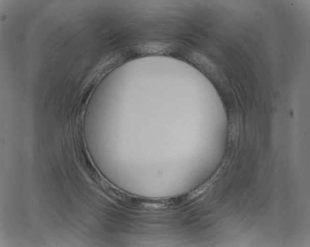 X0000062800167200512221115