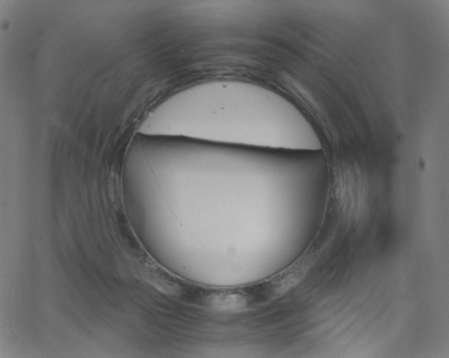 X0000062800169200512221115
